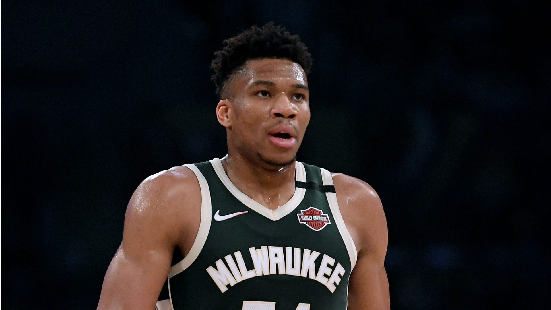 Giannis Antetokounmpo - cropped